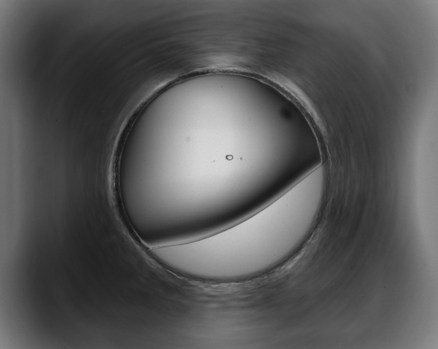 X0000088631285200705250850