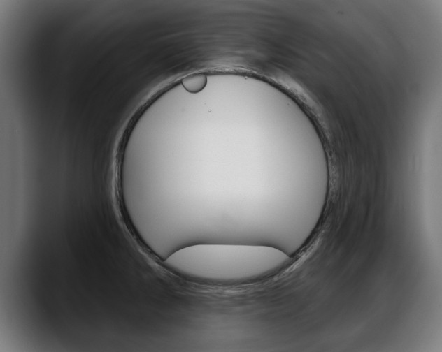 X0000088631286200705250850