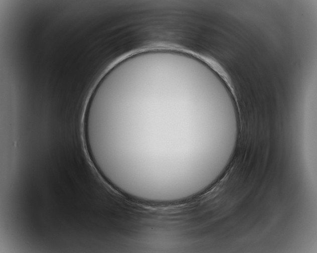 X0000088631287200705250850