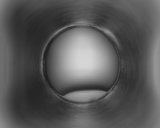 X0000088631288200705250850