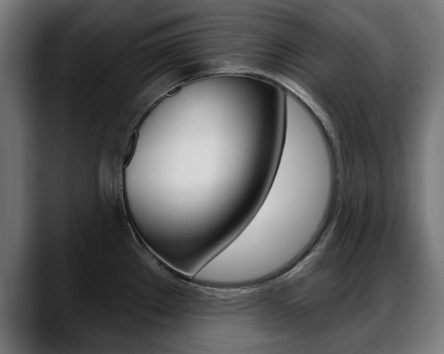 X0000088631289200705250850