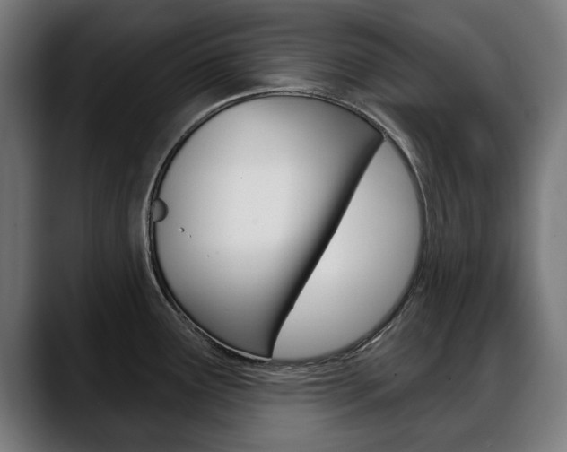 X0000088631291200705250850