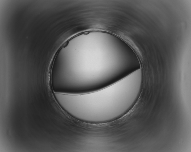 X0000088631292200705250850