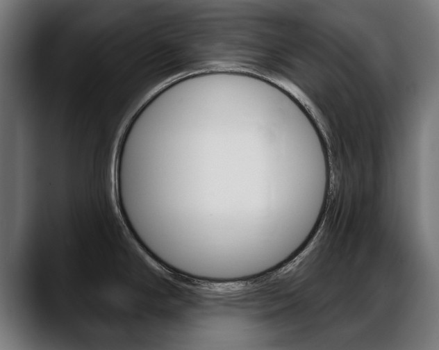 X0000088631294200705250850
