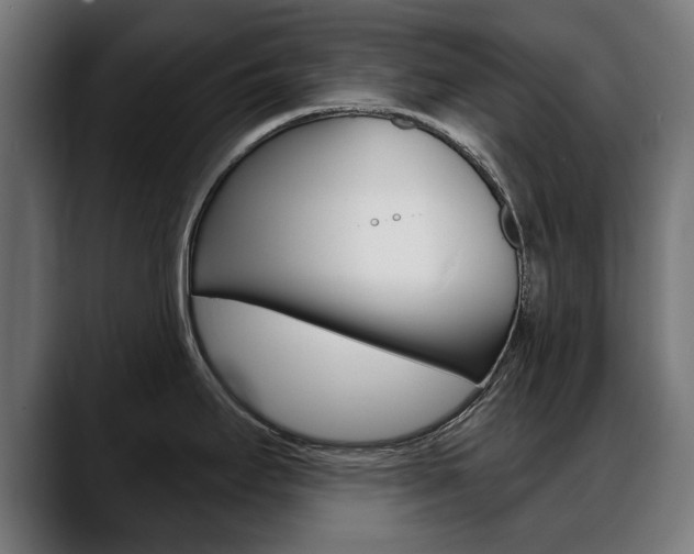 X0000088631295200705250850