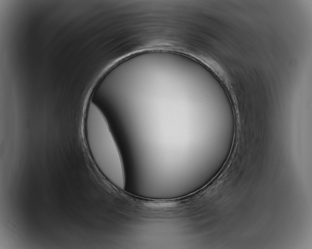 X0000088631296200705250850