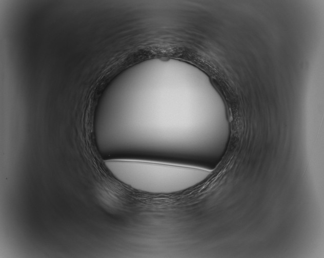 X0000088631297200705250850