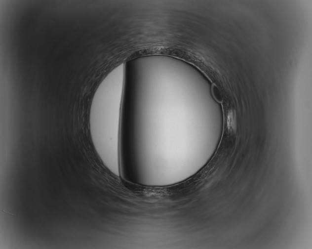 X0000088631299200705250850