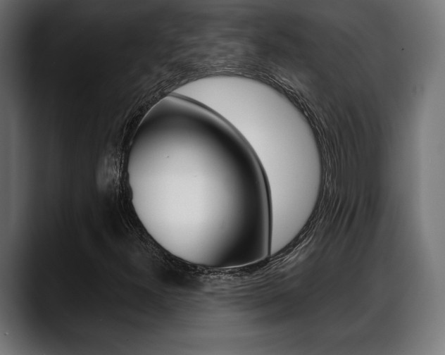X0000088631300200705250850