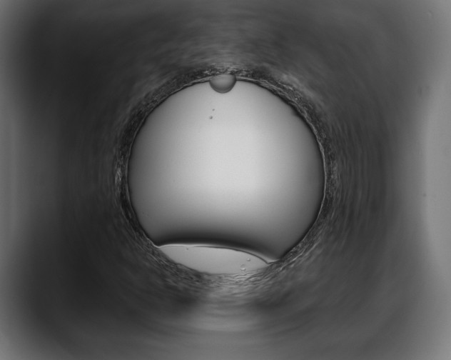 X0000088631302200705250850