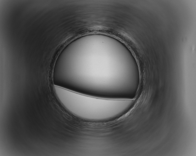 X0000088631305200705250850