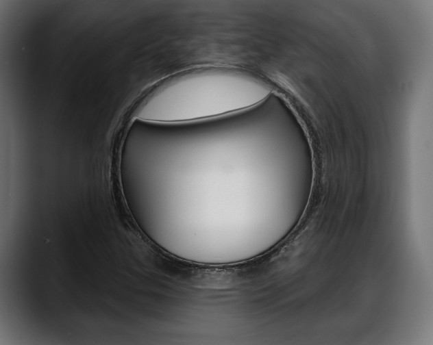 X0000088631307200705250850