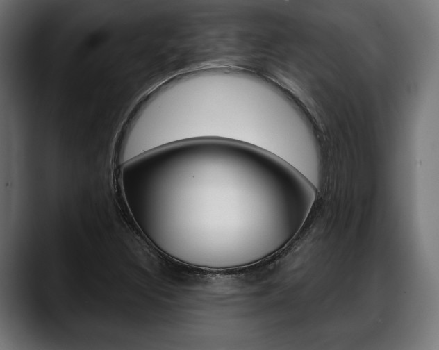 X0000088631308200705250850