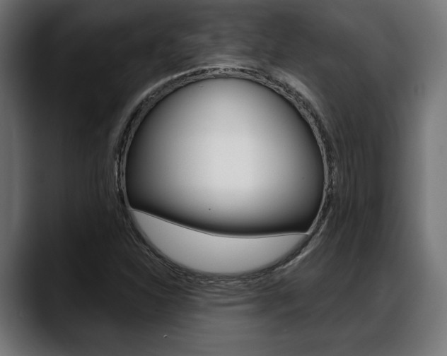 X0000088631310200705250850