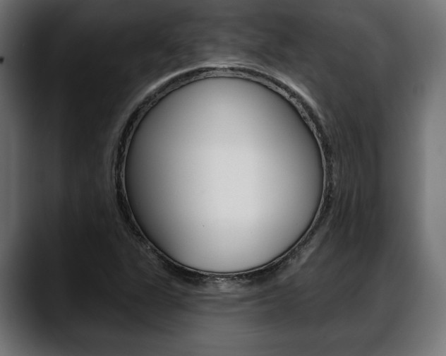 X0000088631311200705250850