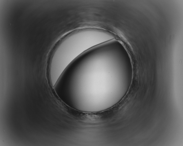 X0000088631312200705250850