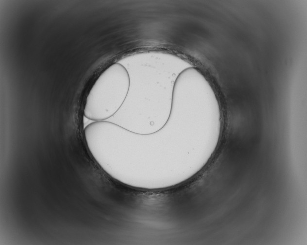 X0000088631314200705250850