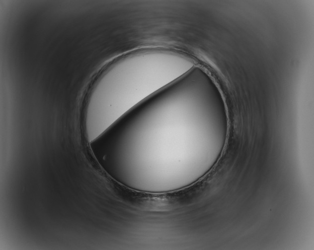 X0000088631315200705250850