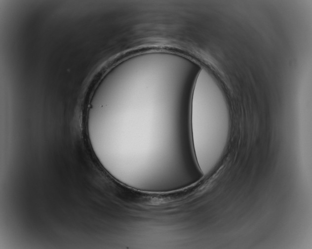X0000088631318200705250850