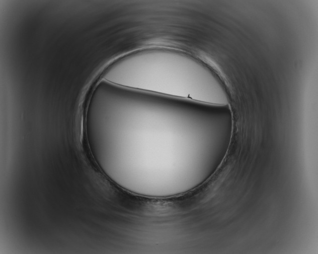 X0000088631323200705250850