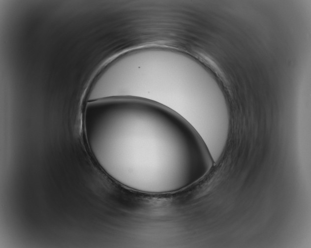 X0000088631324200705250850