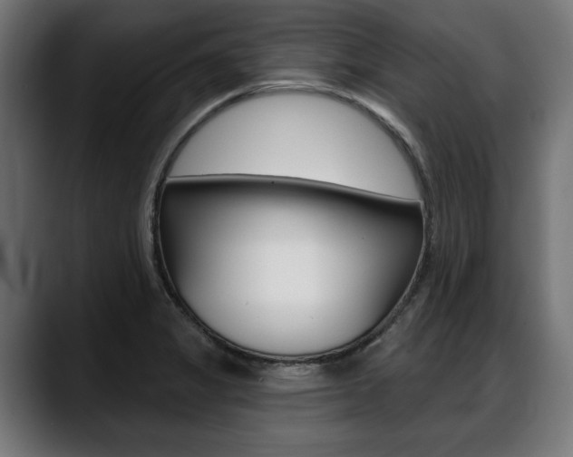 X0000088631325200705250850