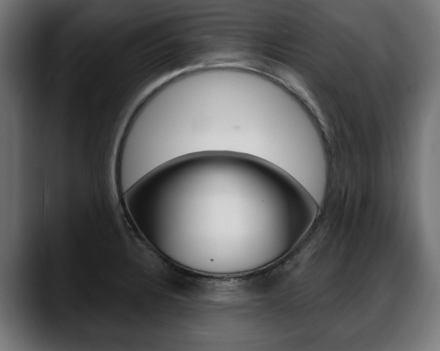 X0000088631328200705250850