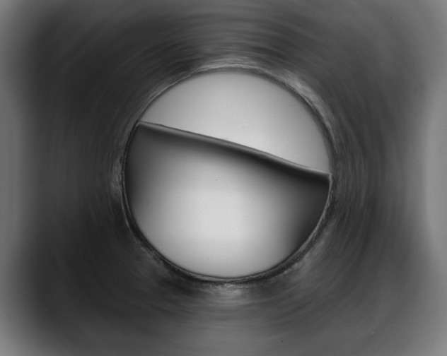 X0000088631329200705250850
