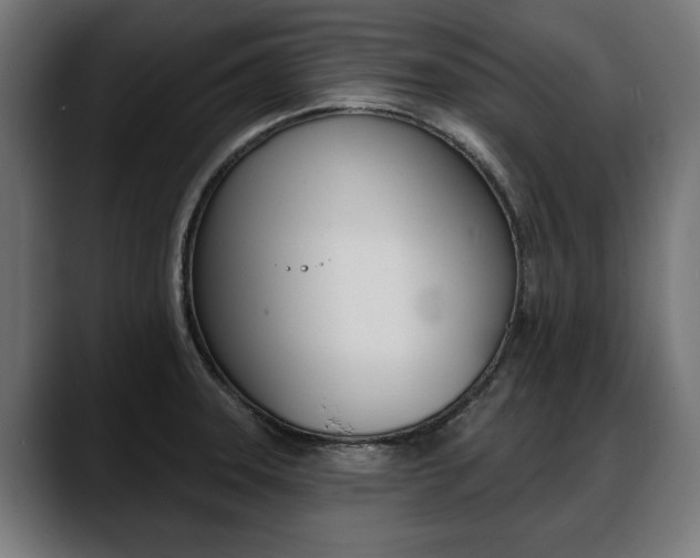 X0000088631331200705250850