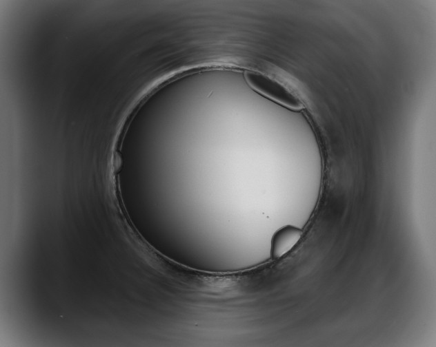 X0000088631332200705250850