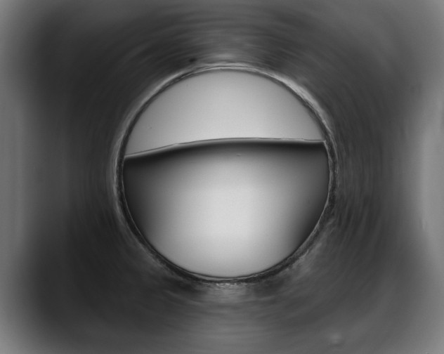 X0000088631333200705250850