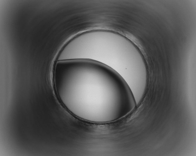 X0000088631334200705250850