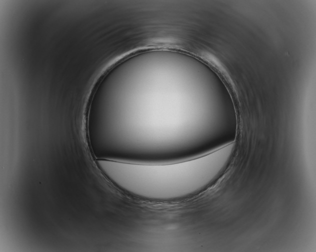 X0000088631336200705250850