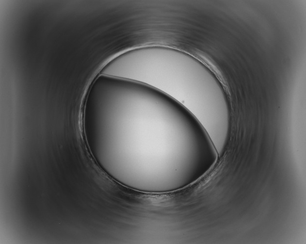 X0000088631340200705250850