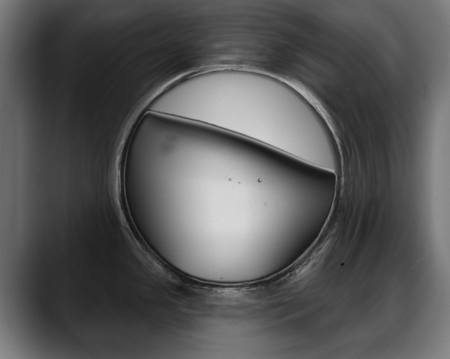 X0000088631341200705250850