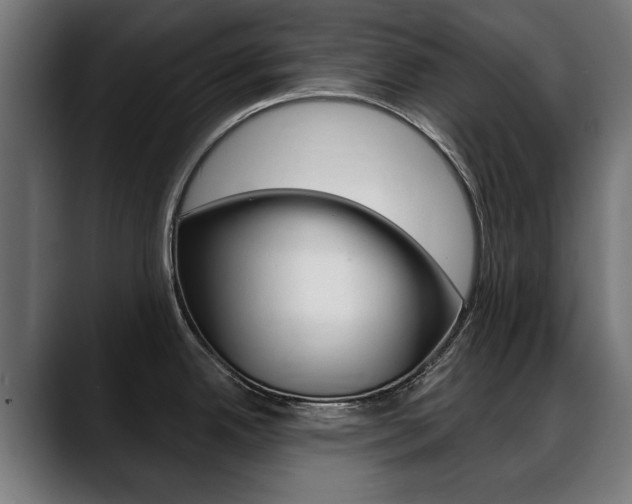 X0000088631342200705250850