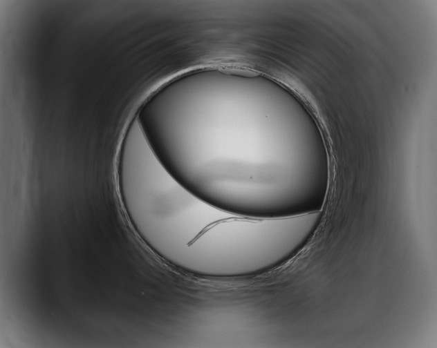 X0000088631344200705250850