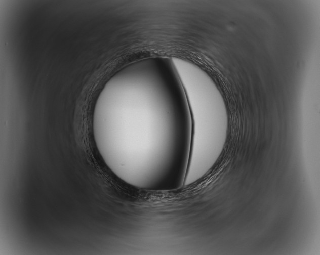 X0000088631345200705250850