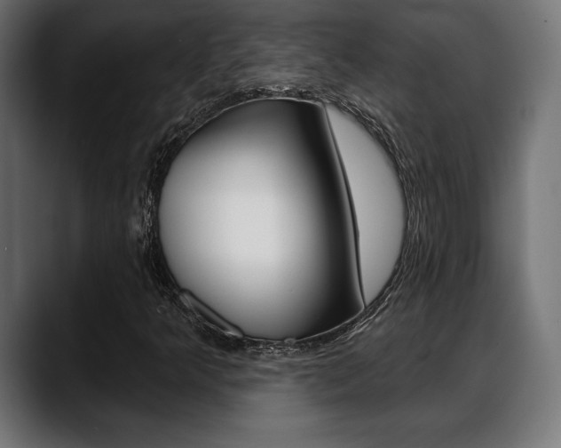 X0000088631349200705250850