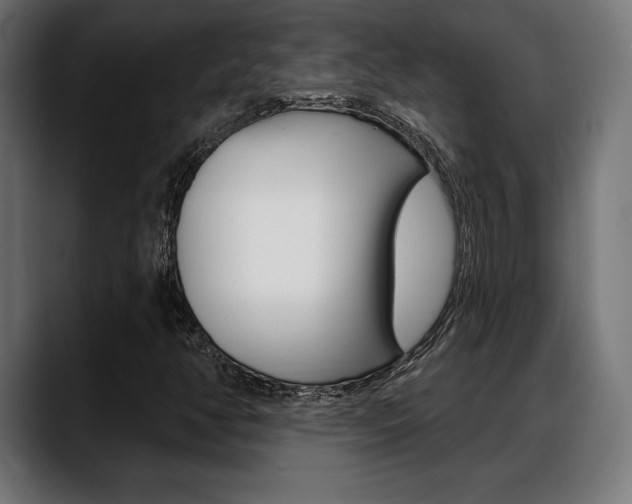 X0000088631350200705250850
