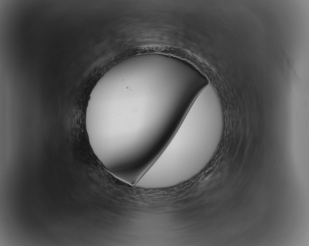 X0000088631351200705250850