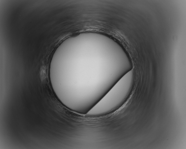 X0000088631353200705250850