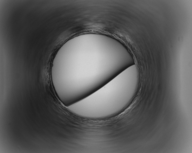 X0000088631354200705250850