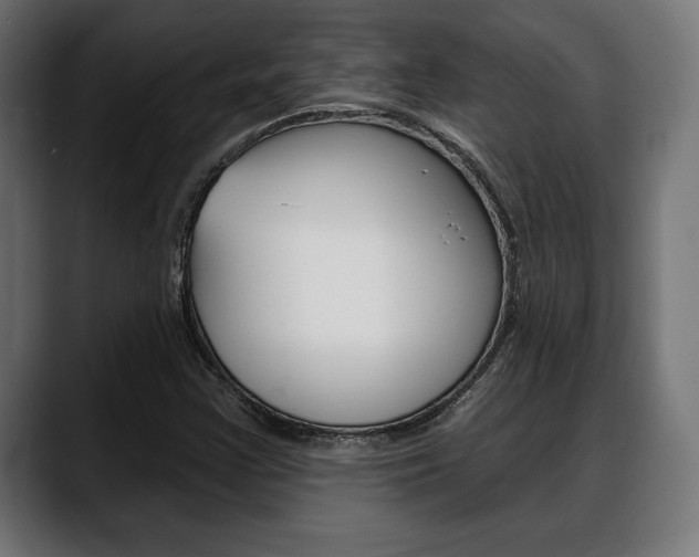 X0000088631355200705250850