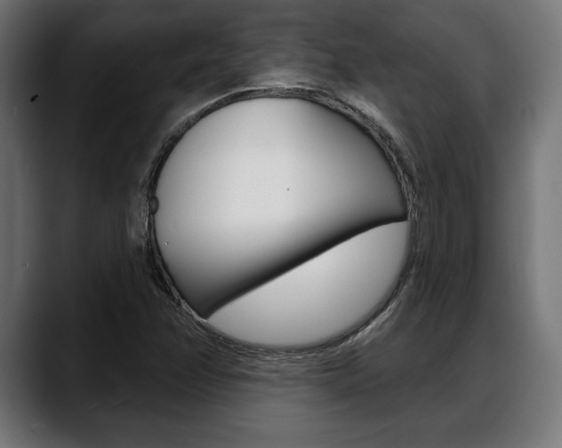 X0000088631358200705250849