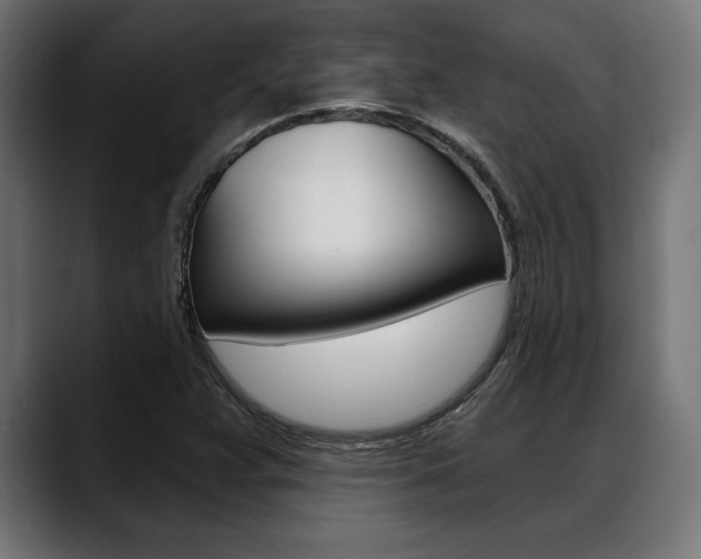 X0000088631359200705250849