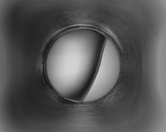 X0000088631360200705250849