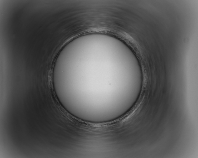 X0000088631361200705250849