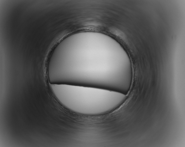 X0000088631362200705250849