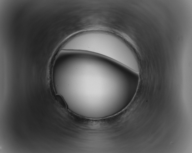 X0000088631364200705250849